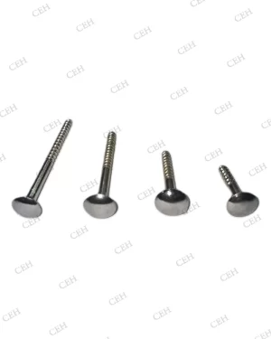 MIRROR SCREW M S WITH BRASS CAP