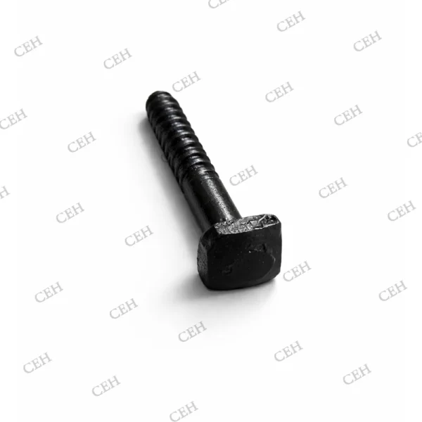 Coach screw