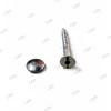mirror screw (2) Mirror screw