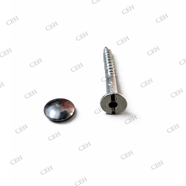 mirror screw (2) Mirror screw