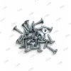 SDS screw