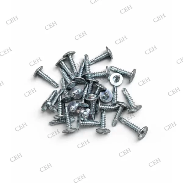 SDS screw