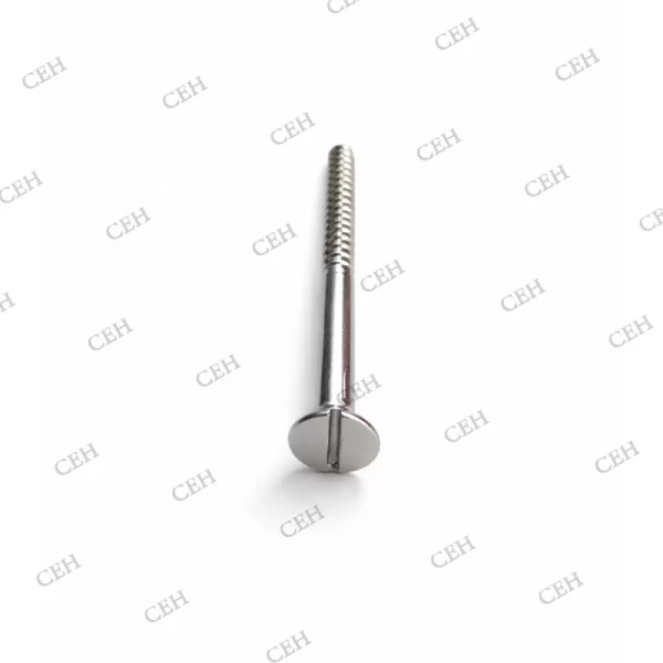 SS wood screw