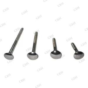 MIRROR SCREW M S WITH BRASS CAP