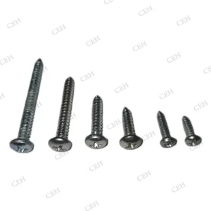 NORMAL PAN HEAD SCREW ZINC, NICKEL (+) HEAD